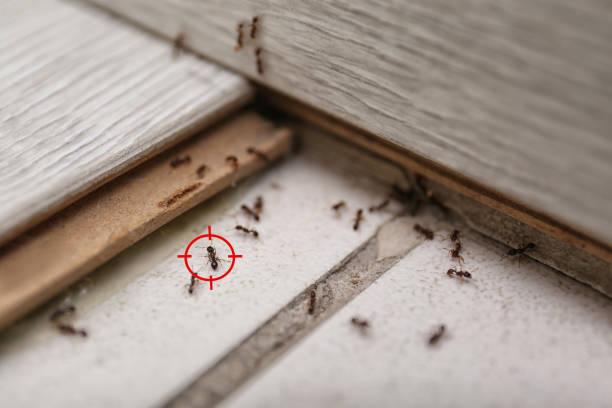 Best Pest Prevention Services  in Shaker Heights, OH