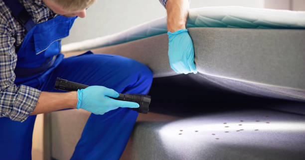 Best Best Pest Control Companies  in Shaker Heights, OH
