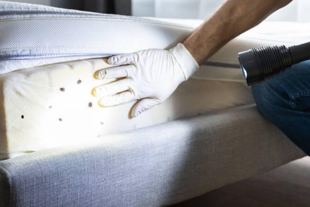 Pest Control Cost in Shaker Heights, OH