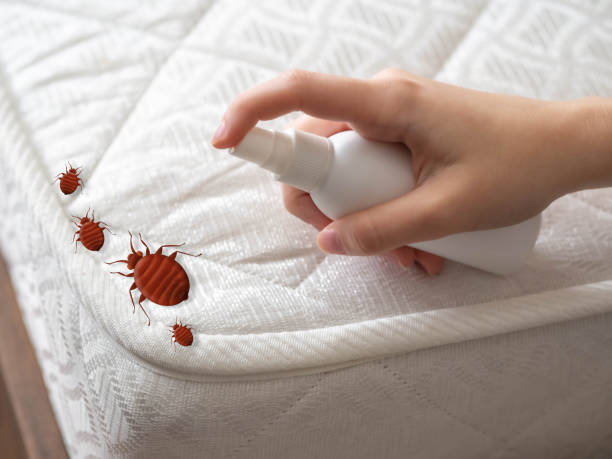 Professional Pest Control in Shaker Heights, OH