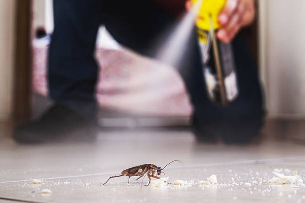 Best Pest Inspection Near Me  in Shaker Heights, OH