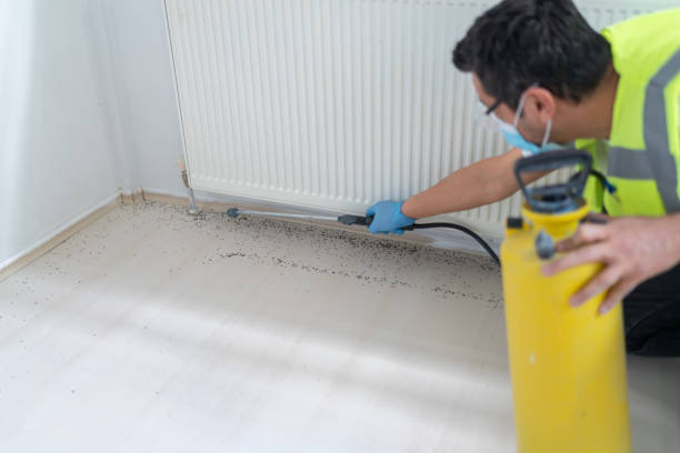 Best Wasp Removal Services  in Shaker Heights, OH