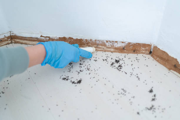 Best Pest Removal Services  in Shaker Heights, OH
